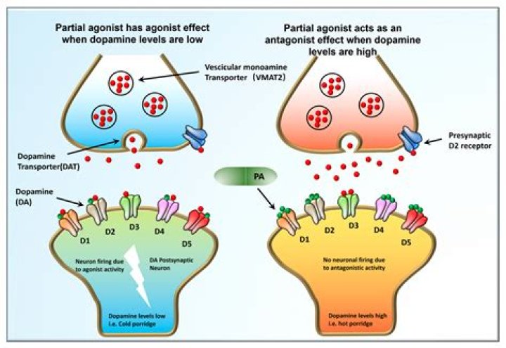 How much Zyprexa should I take for schizophrenia?