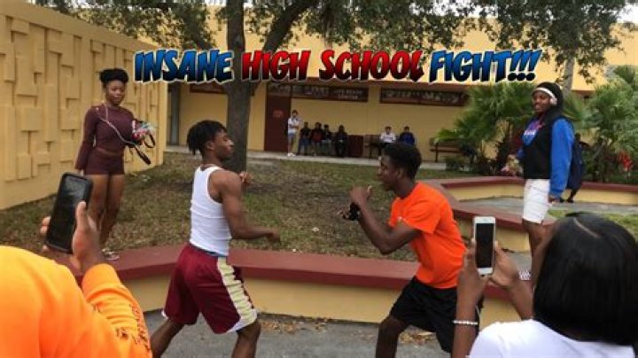 How often do fights happen at school?