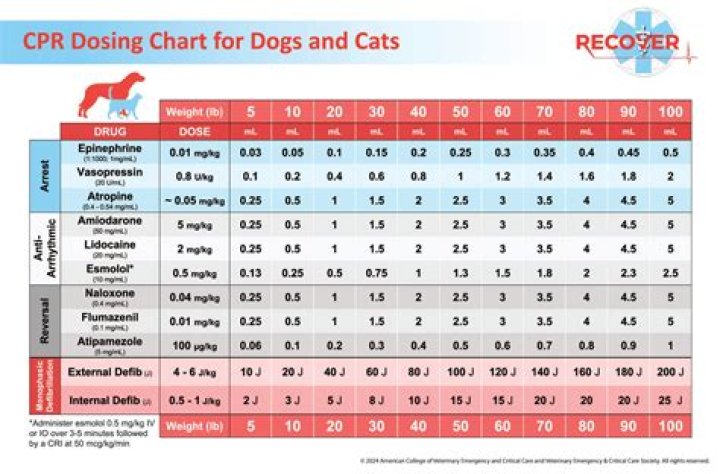 How often do keppra levels need to be checked?