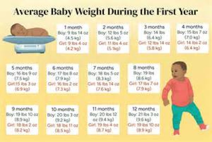 How often should 1 year old weigh?