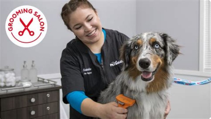 How old do I have to be to work at Petco or PetSmart?
