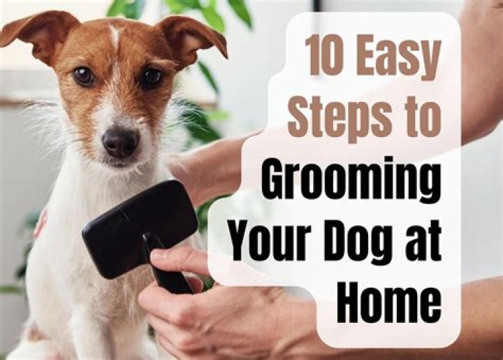 How old do you have to be to groom dogs?