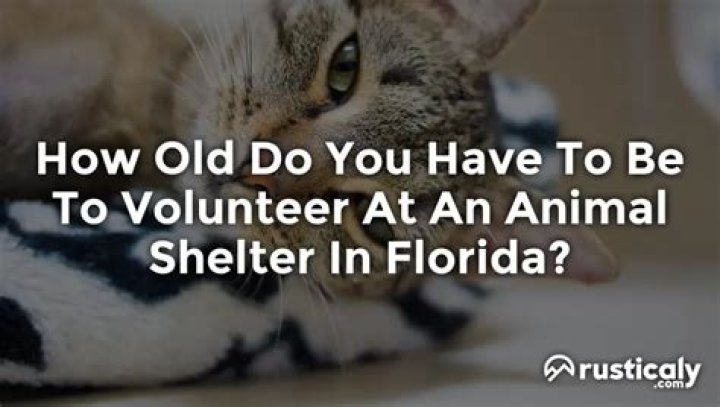 How old do you have to be to volunteer at an animal shelter in Florida?