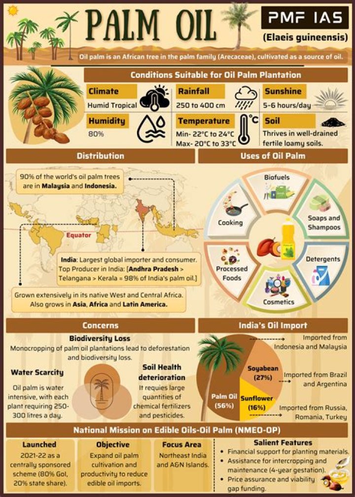How palm oil is refined?