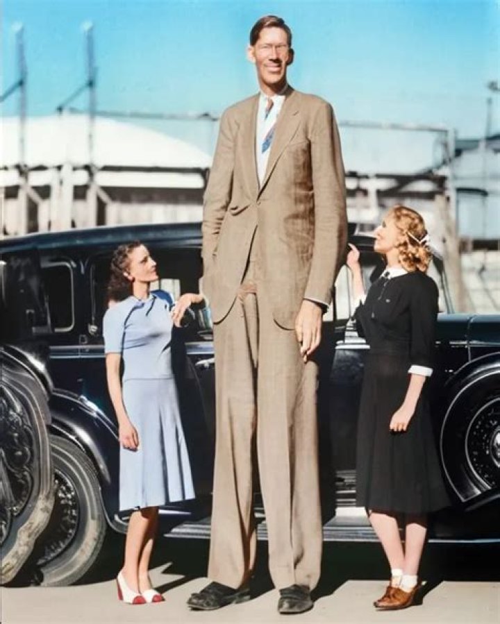 How tall is Robert Brooks?