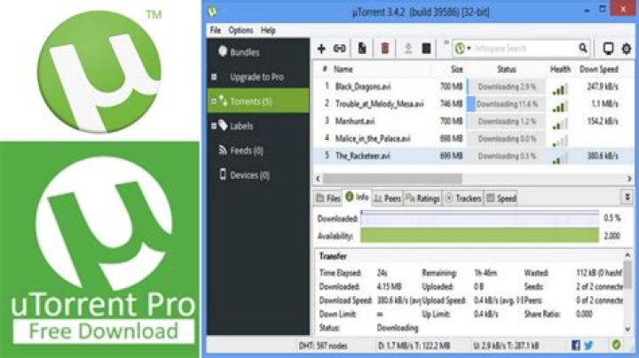 How to download movies from Torrent?