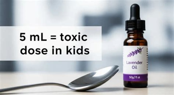How toxic is lavender oil?