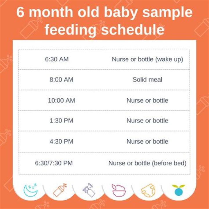 How verbal Should a 15 month old be?
