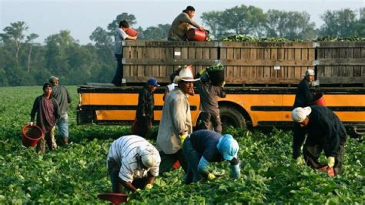How were migrant farm workers treated?
