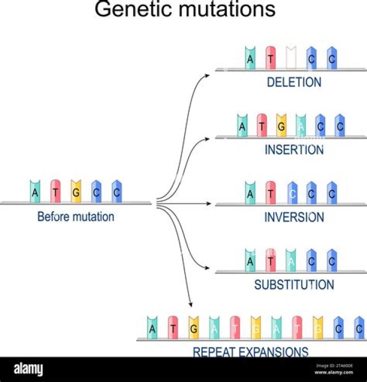 How would this mutation affect the lac operon?