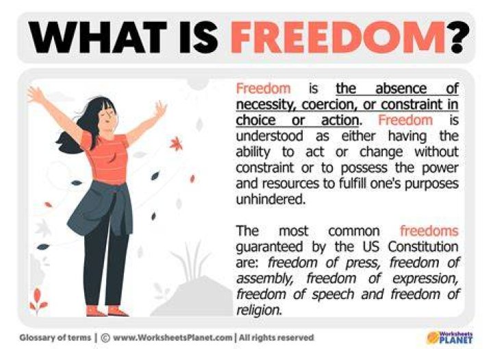 How would you describe a freedom writer?