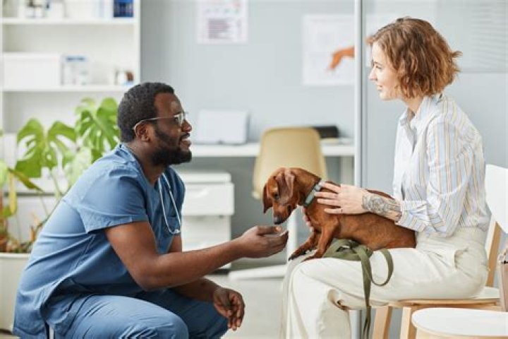 In what area do veterinarians make the most money?