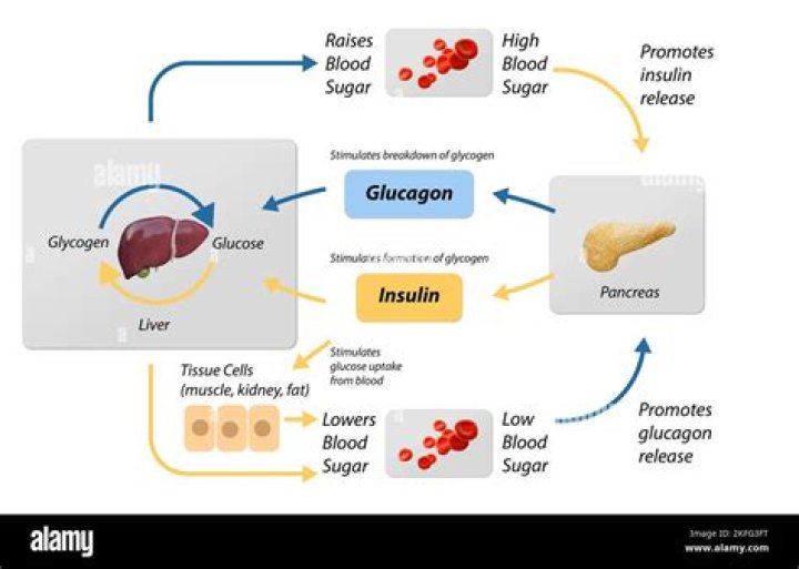 Is 2+ glucose in urine bad?