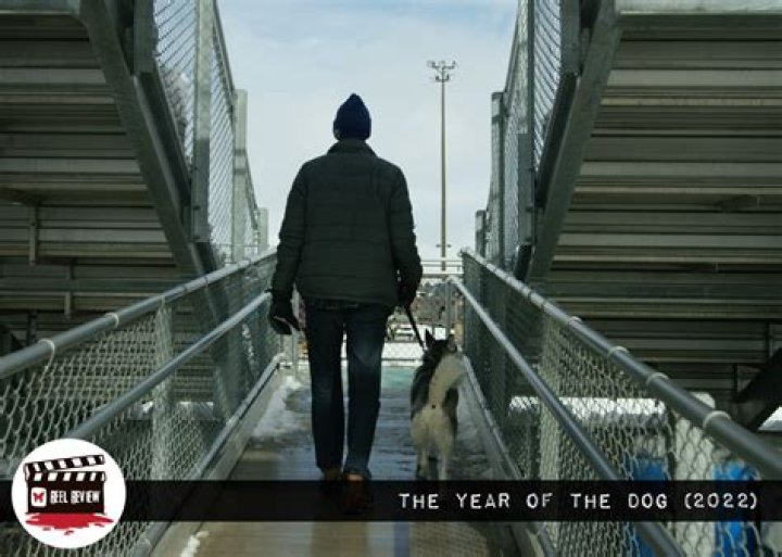 Is 2016 the year of the dog?