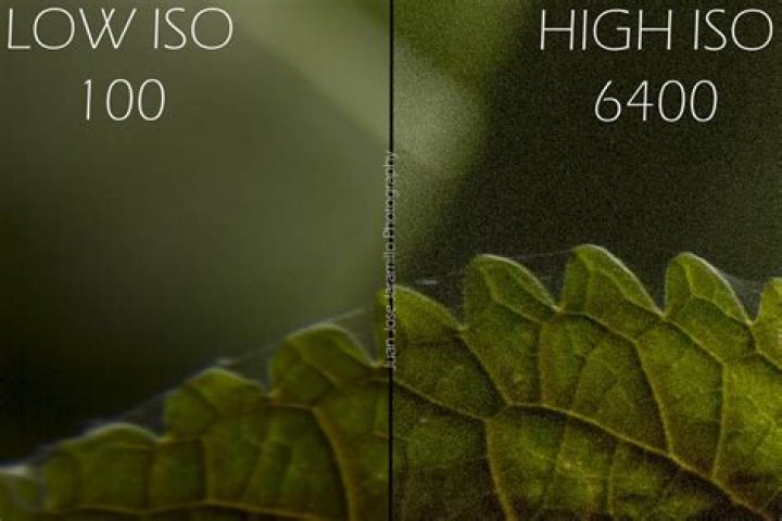 Is 6400 ISO too high?