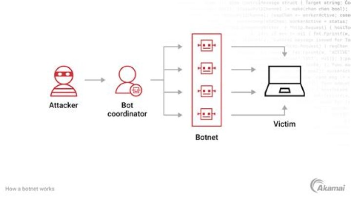 Is a botnet attack illegal?