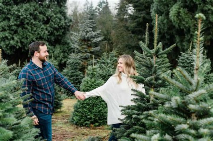 Is a Christmas tree farm worth it?
