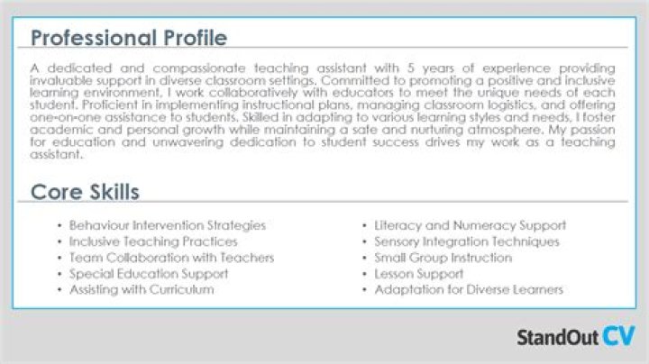 Is a teaching assistant a professional or a semi professional?