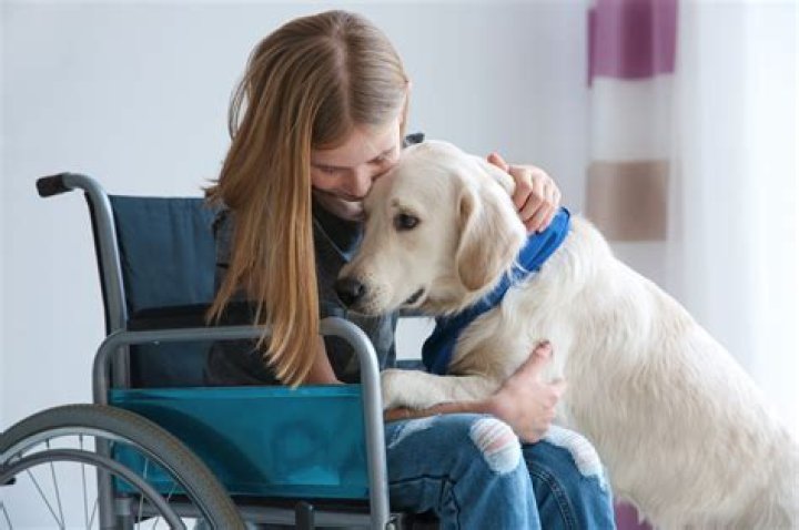 Is a therapy animal a service animal?