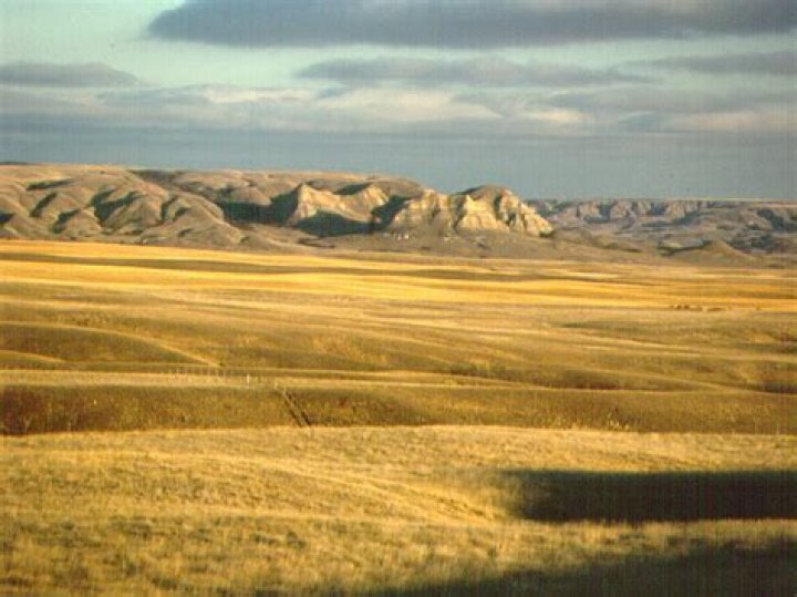 Is Alberta in the Interior Plains?