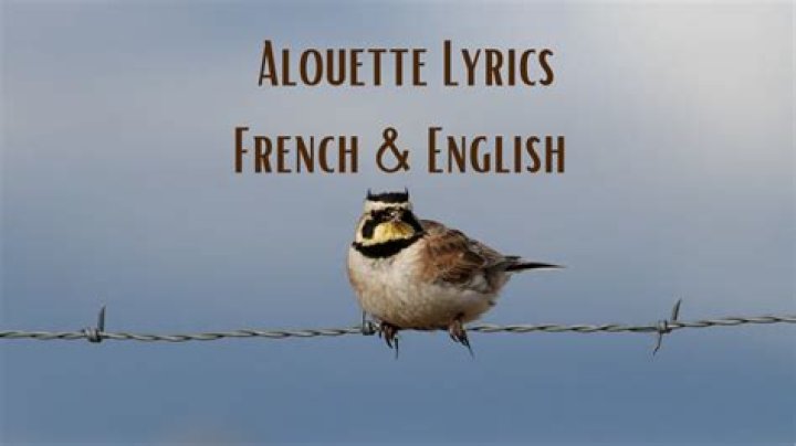 Is Alouette a French song?