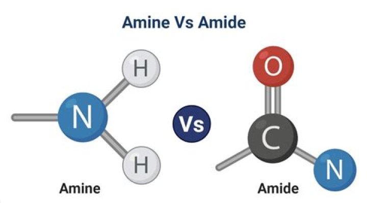 Is an amide an amine?