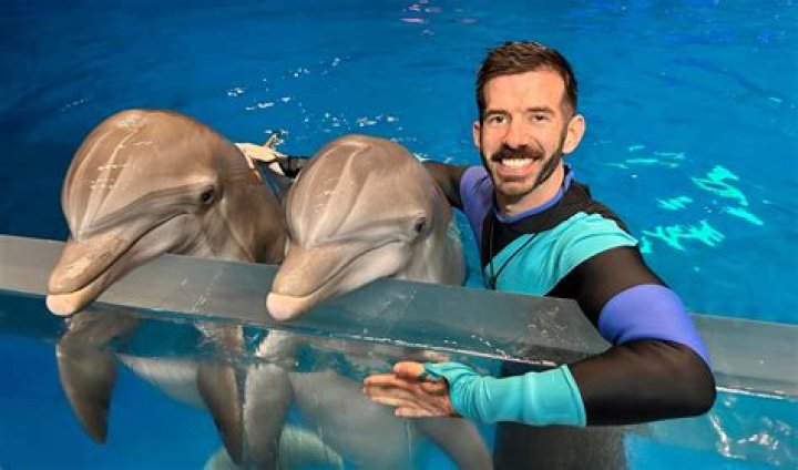 Is being a dolphin trainer dangerous?