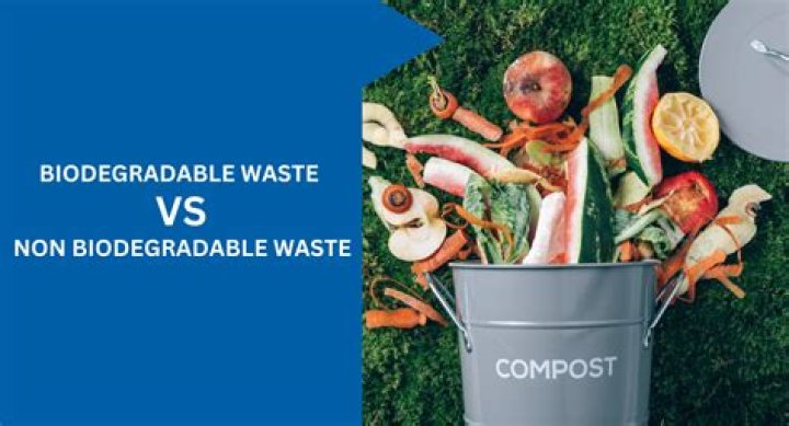 Is biodegradable waste littering?