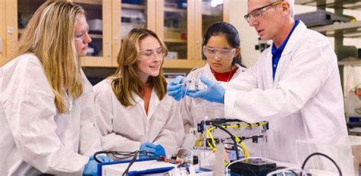 Is biomedical engineering available in Anna University?