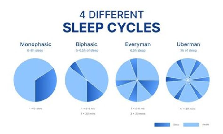 Is biphasic sleep healthy?