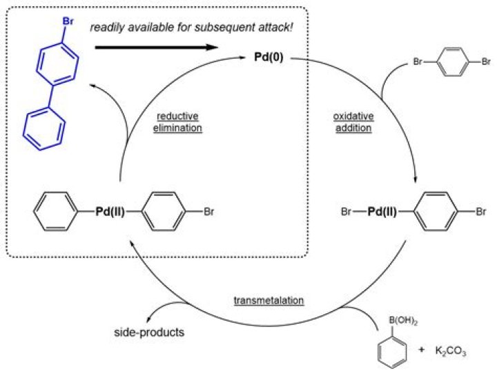 Is biphenyl a pollutant?