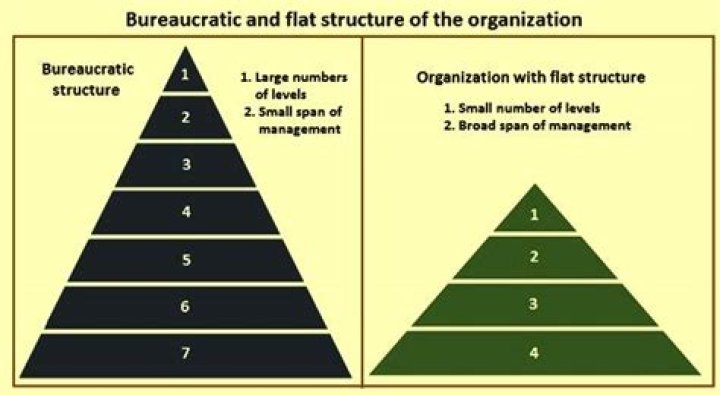 Is bureaucracy an efficient form of organization?