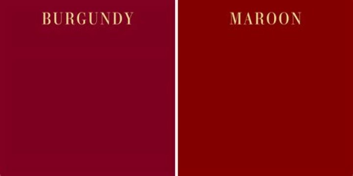 Is Burgundy wine the same as red wine?
