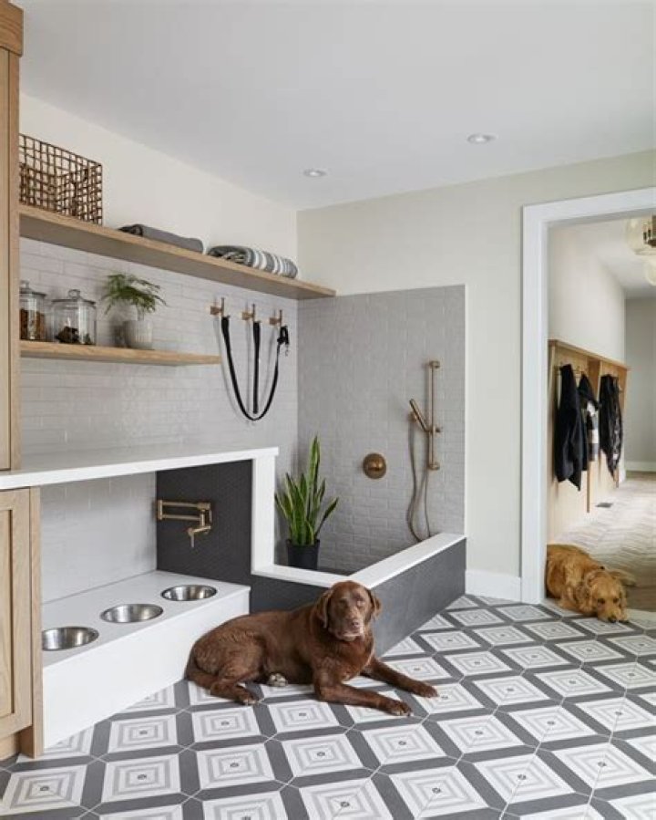 Is Cape Ann dog friendly?