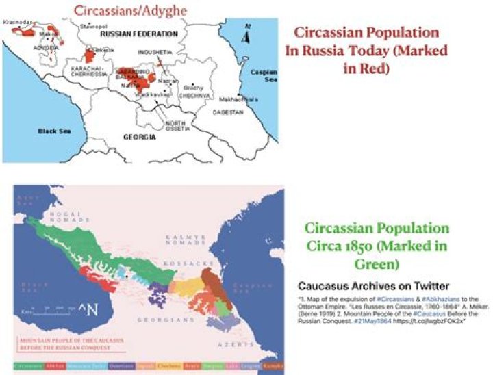 Is Circassia Russian?