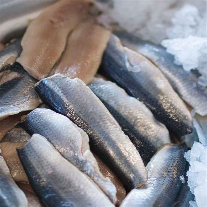 Is Clupea harengus a sardine?