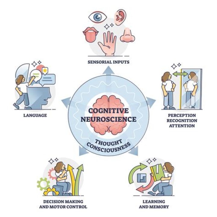 Is cognition the same as consciousness?