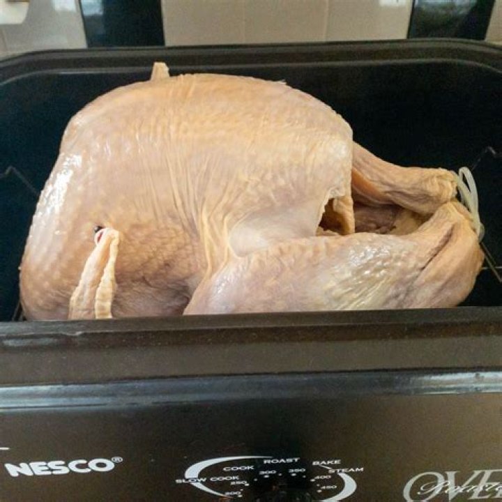 Is cooking a turkey in a brown paper bag safe?