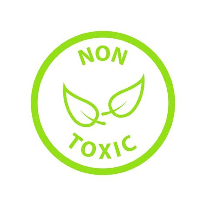 Is Cover FX non toxic?