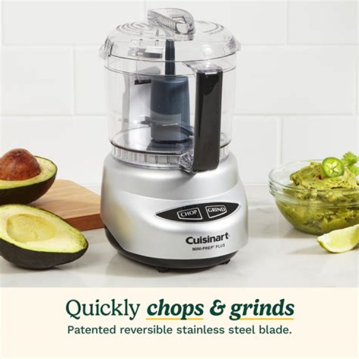 Is Cuisinart mini food processor BPA free?