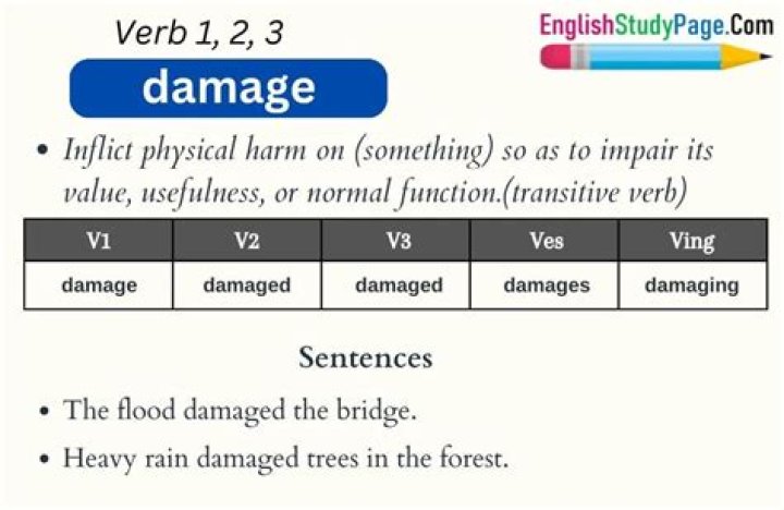 Is damage a verb?