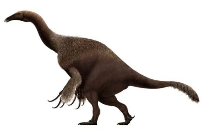 Is Deinocheirus an Therizinosaurus?
