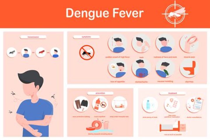 Is dengue fever common in Thailand?