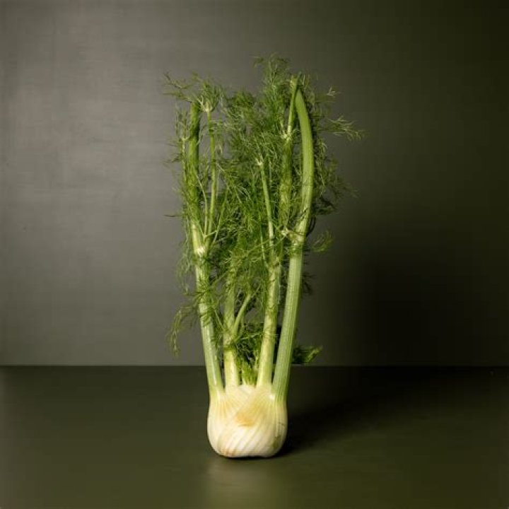 Is eating fennel bulb good for you?