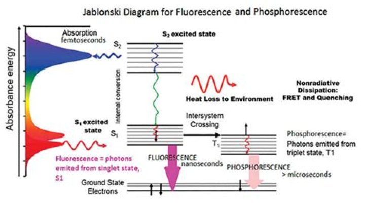 Is fluorescence a radiative decay?