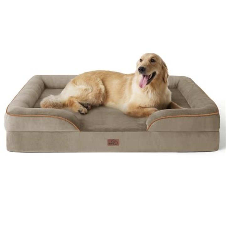Is foam good for dogs?