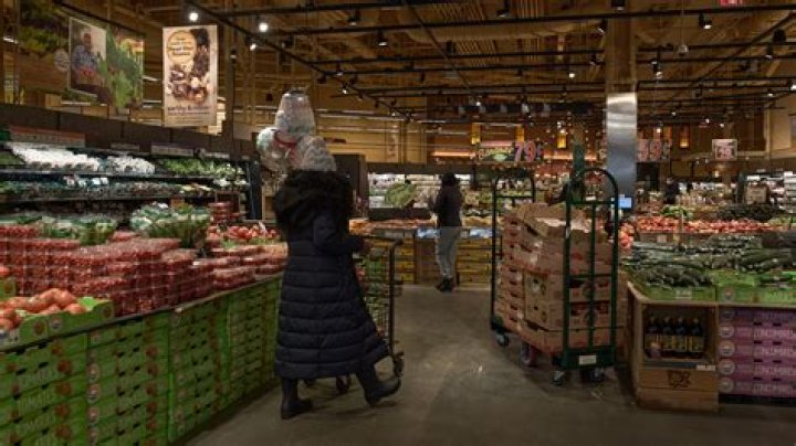 Is FurryFreshness sold in stores?