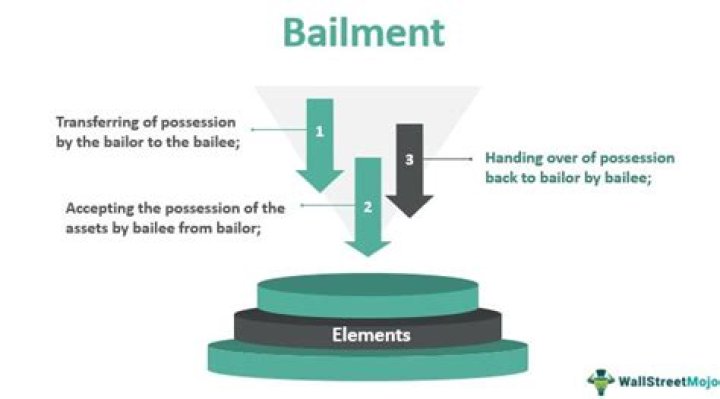 Is gratuitous bailment enforceable?