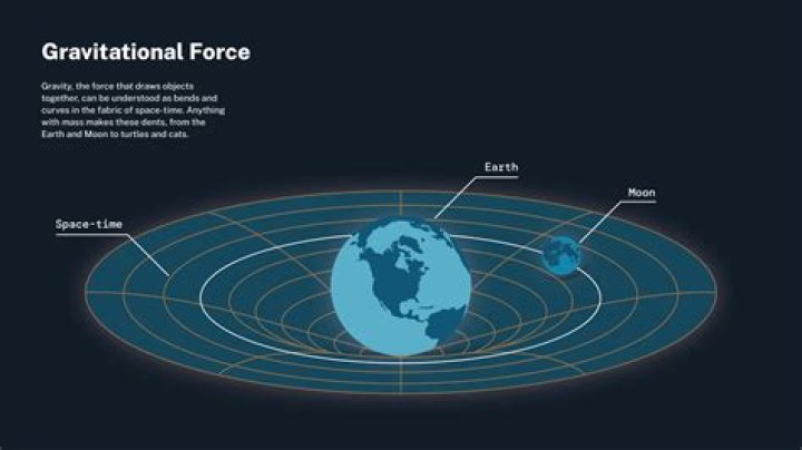Is gravitational force scalar or vector?