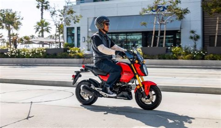 Is Grom a mini bike?